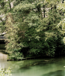 claudia eschborn. books and photographs