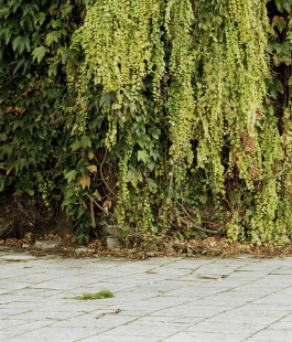 claudia eschborn. books and photographs