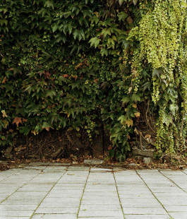 claudia eschborn. books and photographs