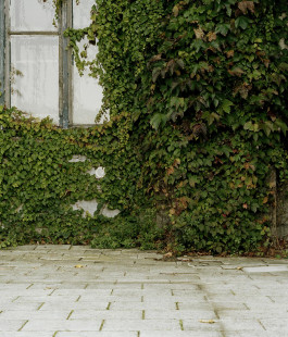 claudia eschborn. books and photographs