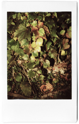 claudia eschborn. books and photographs