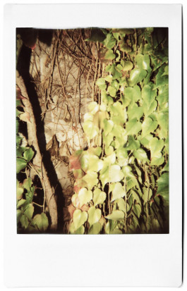 claudia eschborn. books and photographs