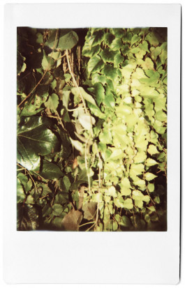 claudia eschborn. books and photographs