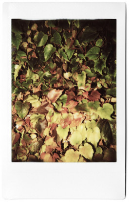 claudia eschborn. books and photographs