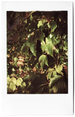 claudia eschborn. books and photographs