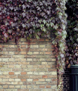 claudia eschborn. books and photographs