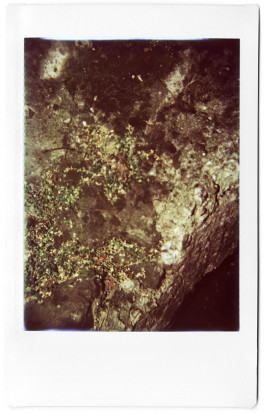 claudia eschborn. books and photographs