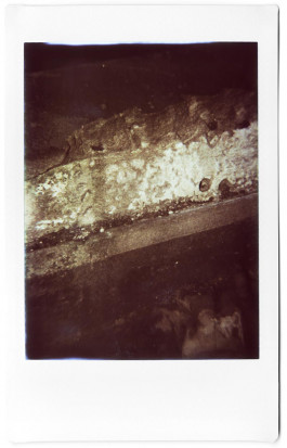 claudia eschborn. books and photographs