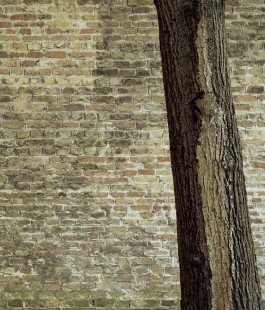 claudia eschborn. books and photographs