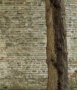 claudia eschborn. books and photographs