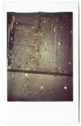 claudia eschborn. books and photographs