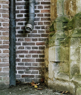 claudia eschborn. books and photographs