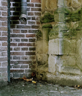 claudia eschborn. books and photographs