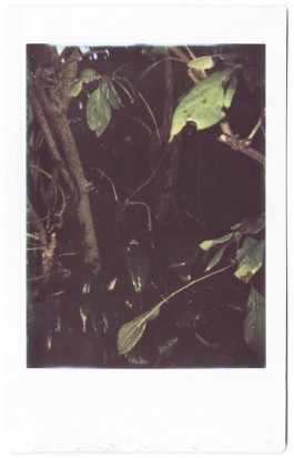 claudia eschborn. books and photographs