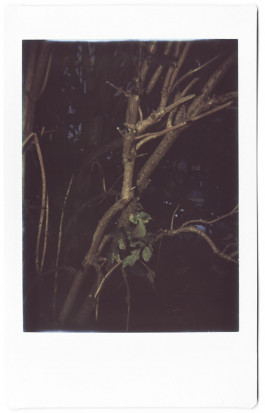 claudia eschborn. books and photographs