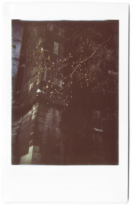 claudia eschborn. books and photographs