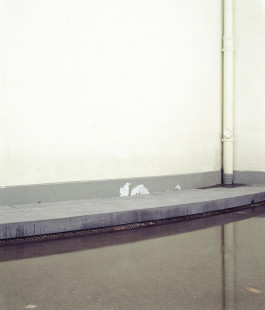 claudia eschborn. books and photographs