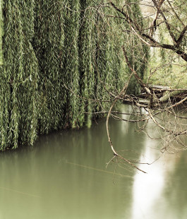 claudia eschborn. books and photographs