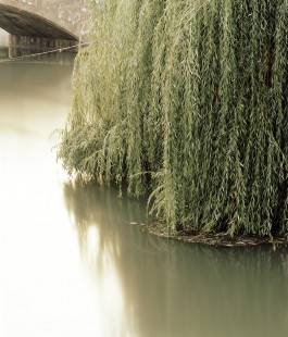 claudia eschborn. books and photographs