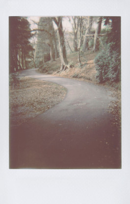 claudia eschborn. books and photographs