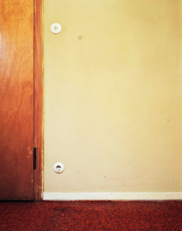 claudia eschborn. books and photographs