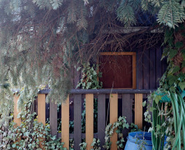 claudia eschborn. books and photographs