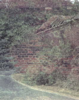 claudia eschborn. books and photographs