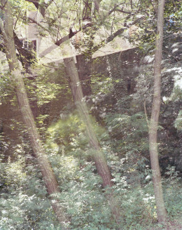 claudia eschborn. books and photographs