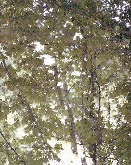 claudia eschborn. books and photographs