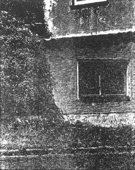 claudia eschborn. books and photographs