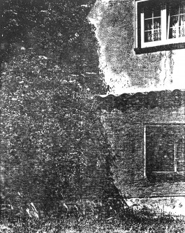 claudia eschborn. books and photographs