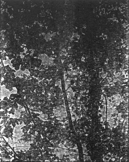 claudia eschborn. books and photographs