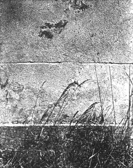 claudia eschborn. books and photographs