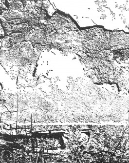 claudia eschborn. books and photographs