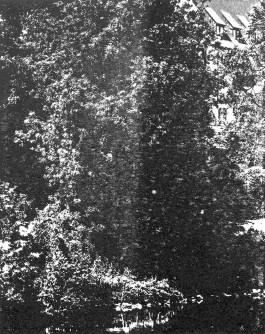 claudia eschborn. books and photographs