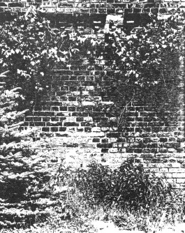 claudia eschborn. books and photographs