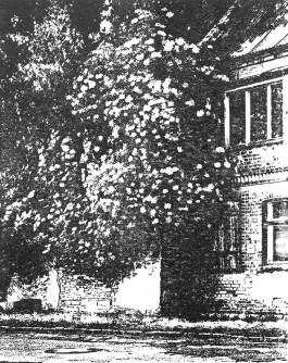 claudia eschborn. books and photographs