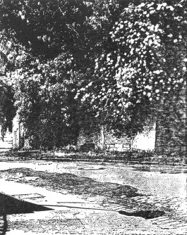 claudia eschborn. books and photographs