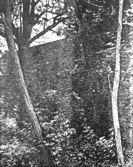 claudia eschborn. books and photographs