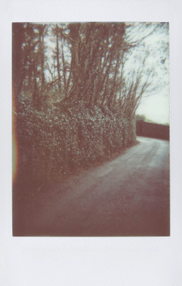 claudia eschborn. books and photographs