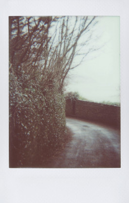 claudia eschborn. books and photographs