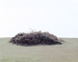 claudia eschborn. books and photographs