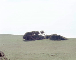 claudia eschborn. books and photographs