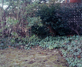 claudia eschborn. books and photographs