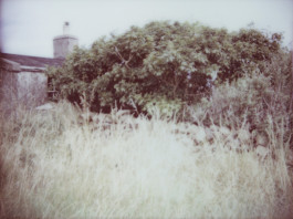 claudia eschborn. books and photographs