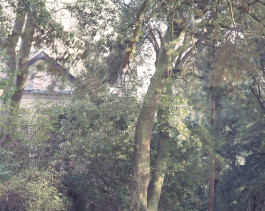 claudia eschborn. books and photographs