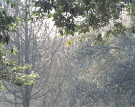 claudia eschborn. books and photographs