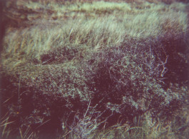 claudia eschborn. books and photographs