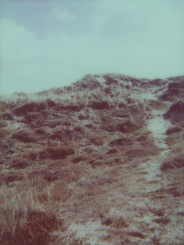 claudia eschborn. books and photographs