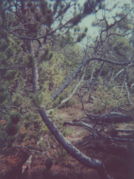 claudia eschborn. books and photographs